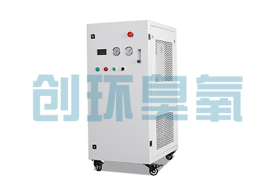 随州石斑鱼养殖水质调控完整指南:臭氧发生器配置与操作步骤