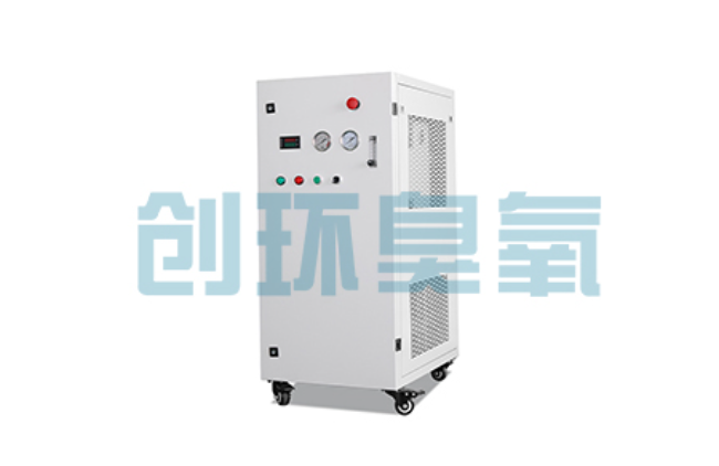 随州比传统换水更高效?臭氧发生器在石斑鱼养殖中的水质净化原理解析