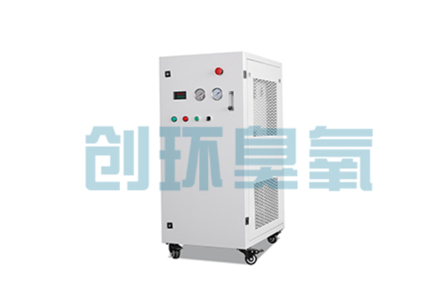 随州比传统换水更高效?臭氧发生器在石斑鱼养殖中的水质净化原理解析